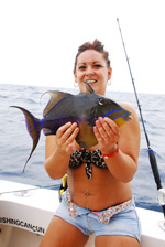 Cancun shared fishing- trigger fish